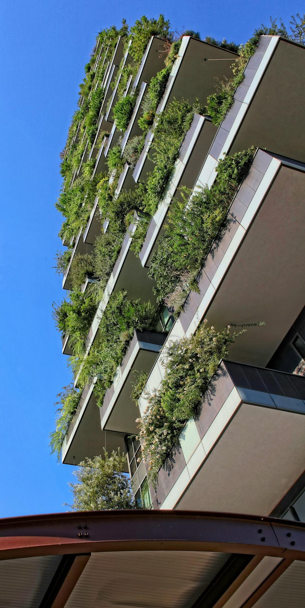 Rooftop